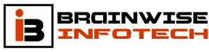 Brainwise Infotech | Best website design  company in delhi | best seo company in delhi| web development company in delhi